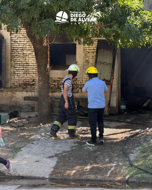 WhatsApp Image 2026-02-26 at 7.38.49 AM