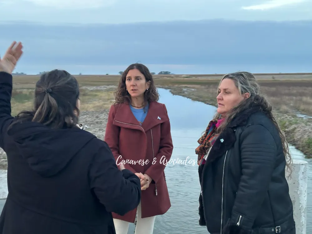 488d7cda-2306-463c-95bb-730f9d2b28fe