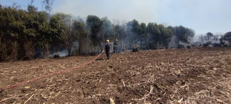 incendio_maggiolo