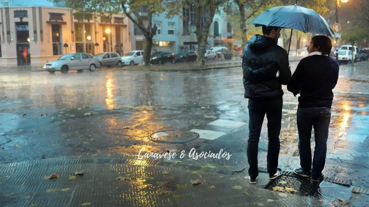 01931f7ed8002e70a91bebba29988da2