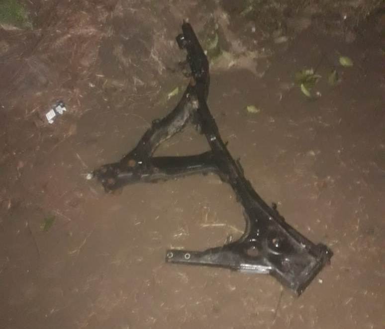 pronostico venado tuerto