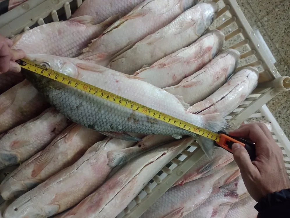 2026-04-01NID_285602O_3