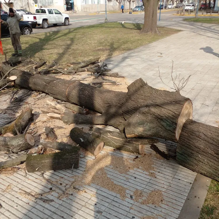 WhatsApp Image 2024-08-02 at 11.41.37