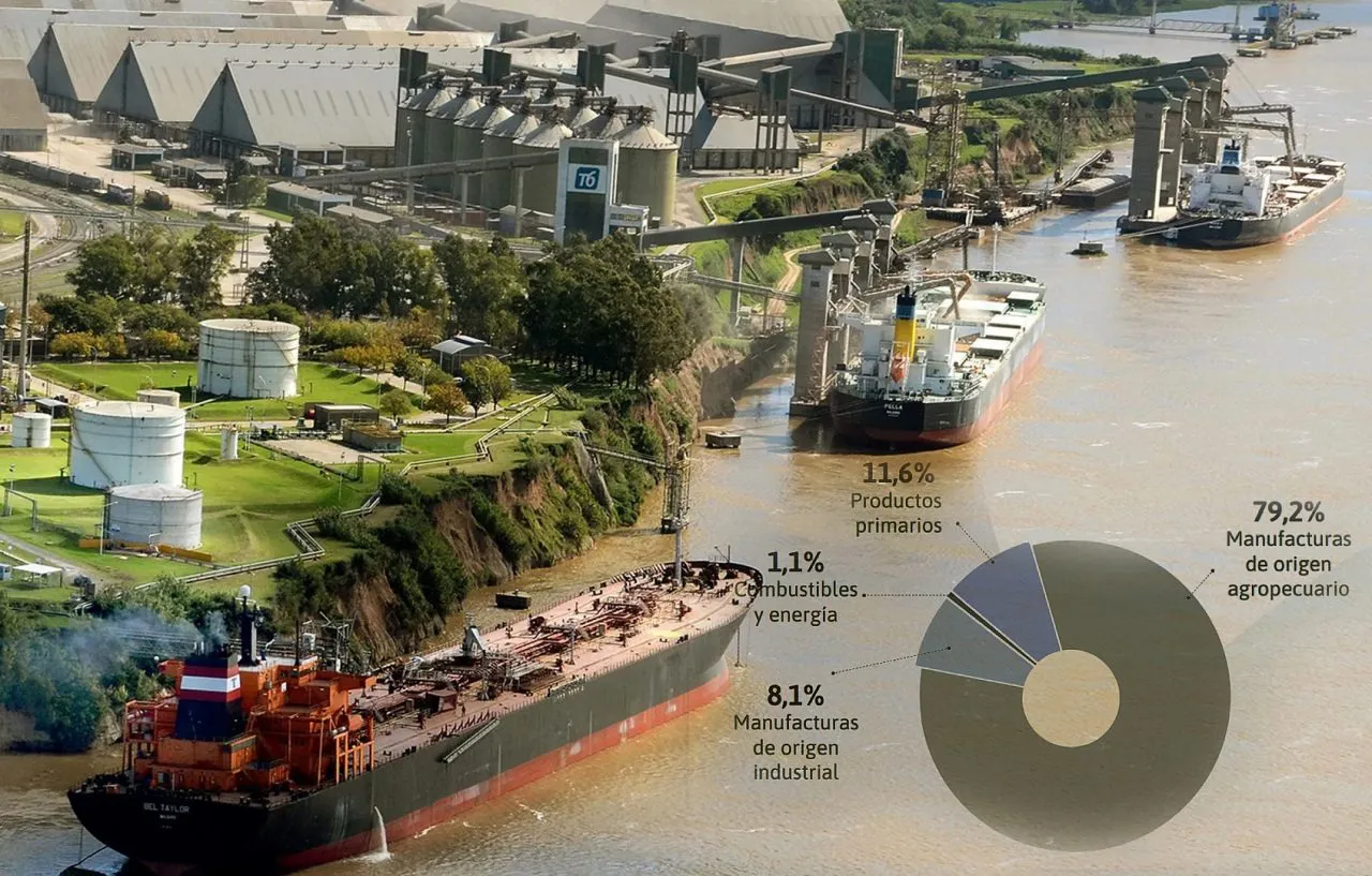 WhatsApp Image 2024-07-11 at 11.24.14