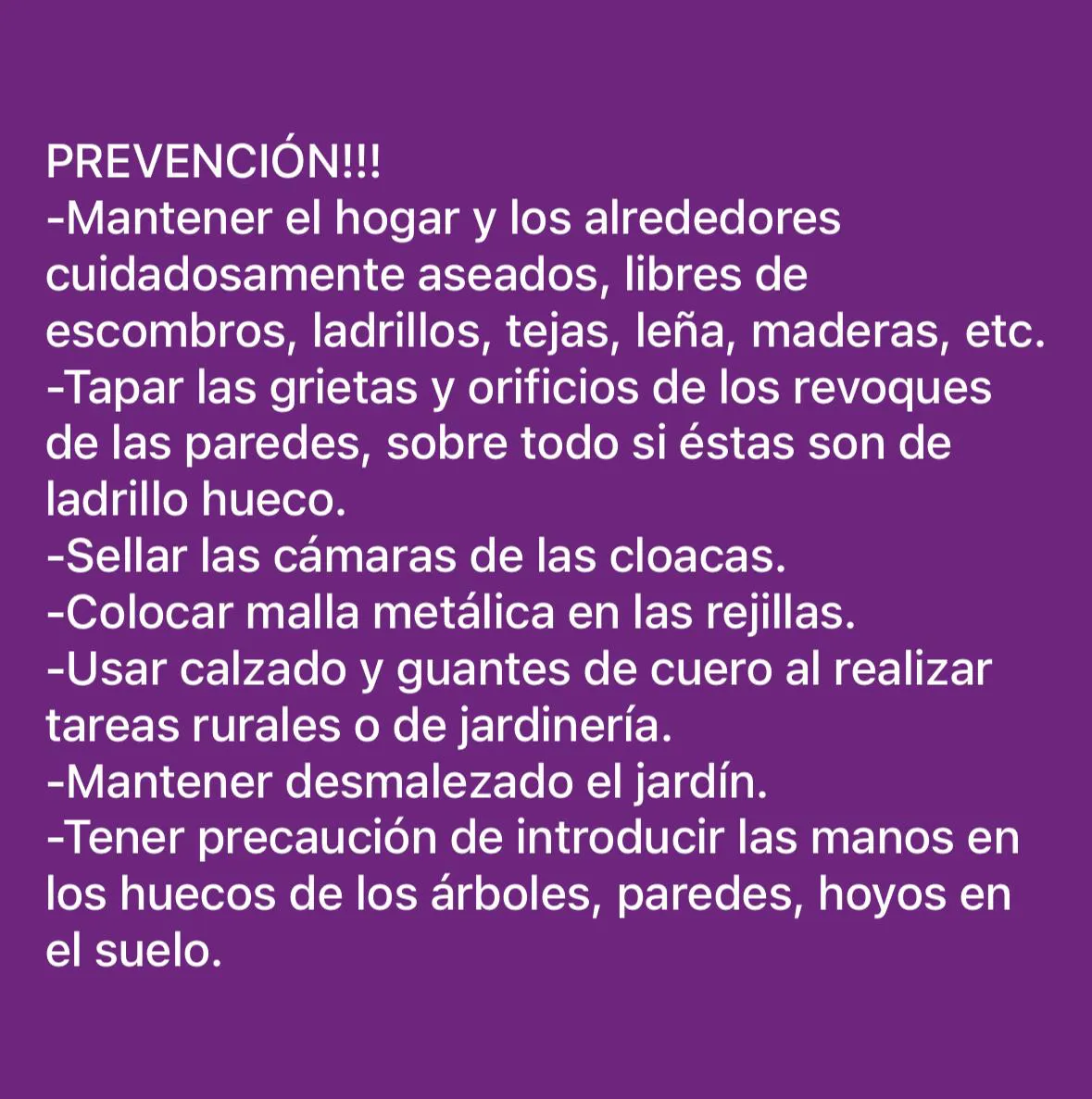 485130097_671403048734927_5018008434810469981_n