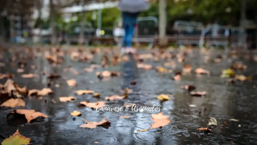 791431012_8593663_1706x960