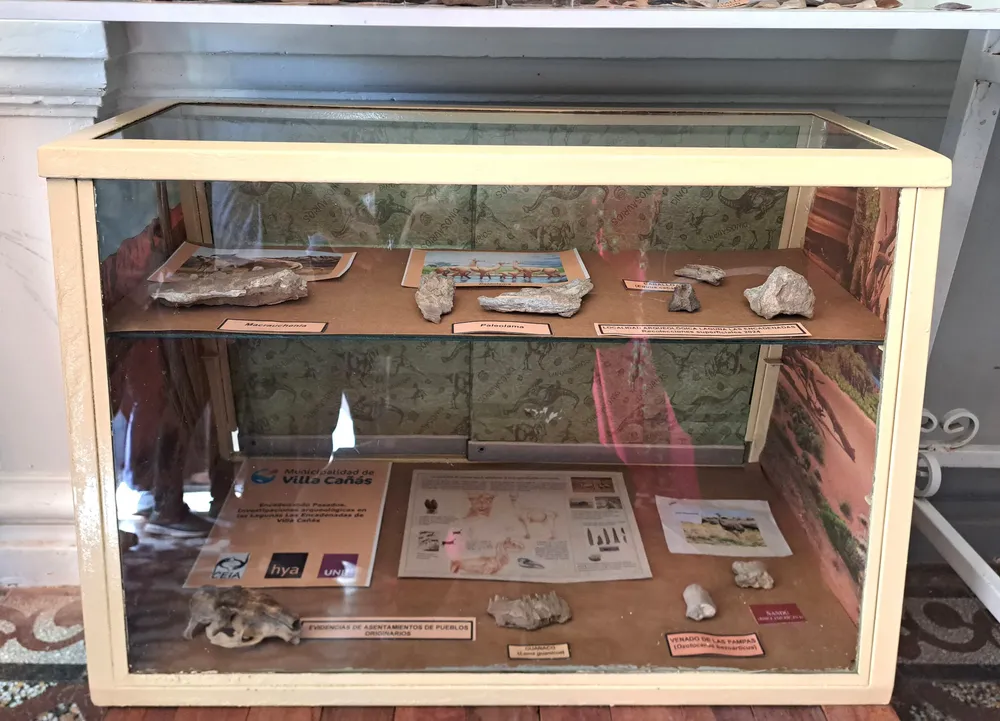 WhatsApp Image 2025-10-21 at 12.19.07 PM (1)