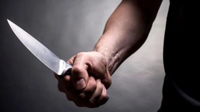 6297557e14bc3135210e4dc1