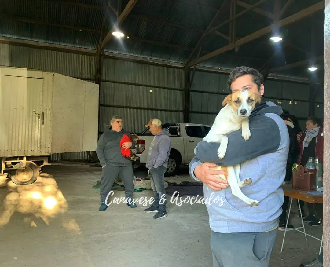 bbf01213-bc9b-4943-a763-1c3136537b1f