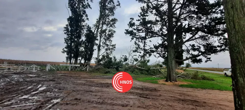 WhatsApp Image 2022-03-24 at 18.54.41