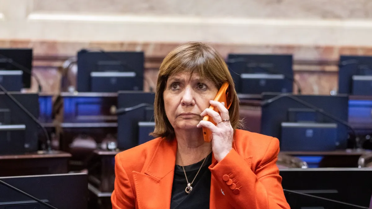 patricia-bullrich-senado