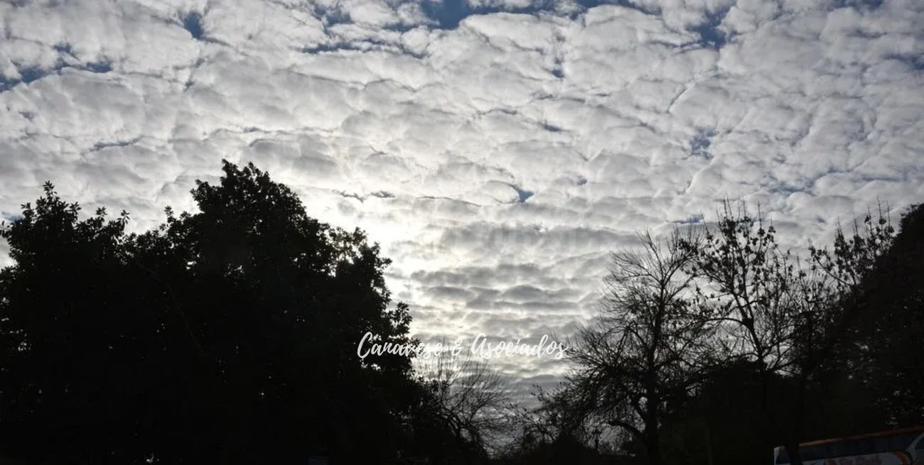 sCQjjweuN_1300x655__1