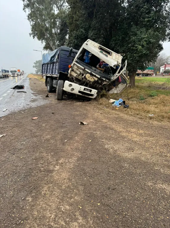 WhatsApp Image 2024-08-20 at 19.24.08