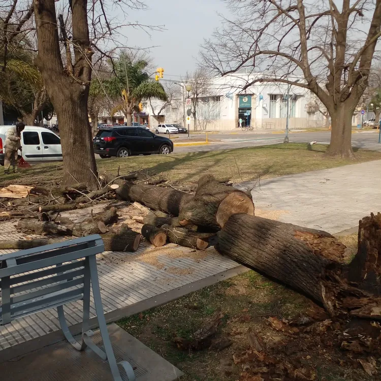 WhatsApp Image 2024-08-02 at 11.41.16