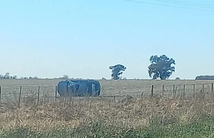 WhatsApp Image 2024-06-30 at 11.47.32