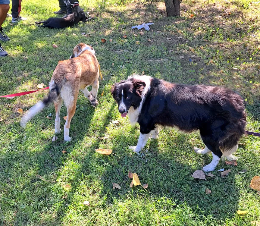 WhatsApp Image 2026-03-17 at 11.42.56 AM