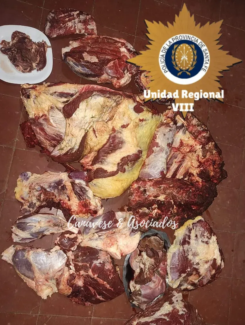 5e91ebcd-2abe-437b-a648-55624f1e8a21