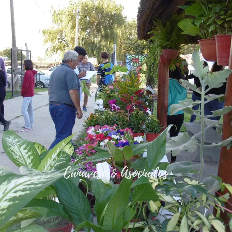 56994096_1196648413838558_735165136829939712_n