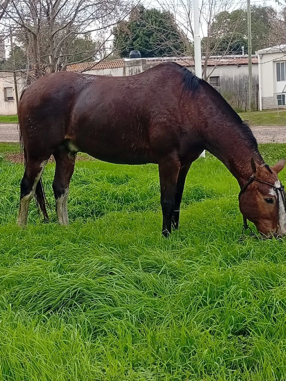 497496969_1286297006838052_7124766088907219328_n