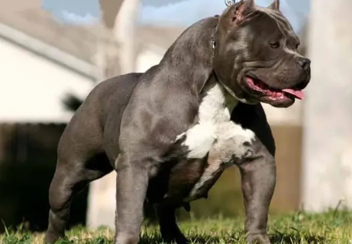 42RMJDTXZ5ARJDEON6PCCJGSIQ