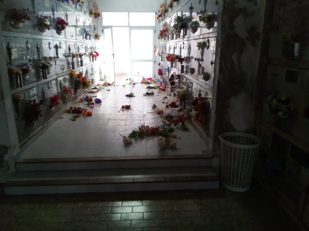 451819424_785305920448443_2899185707703135061_n