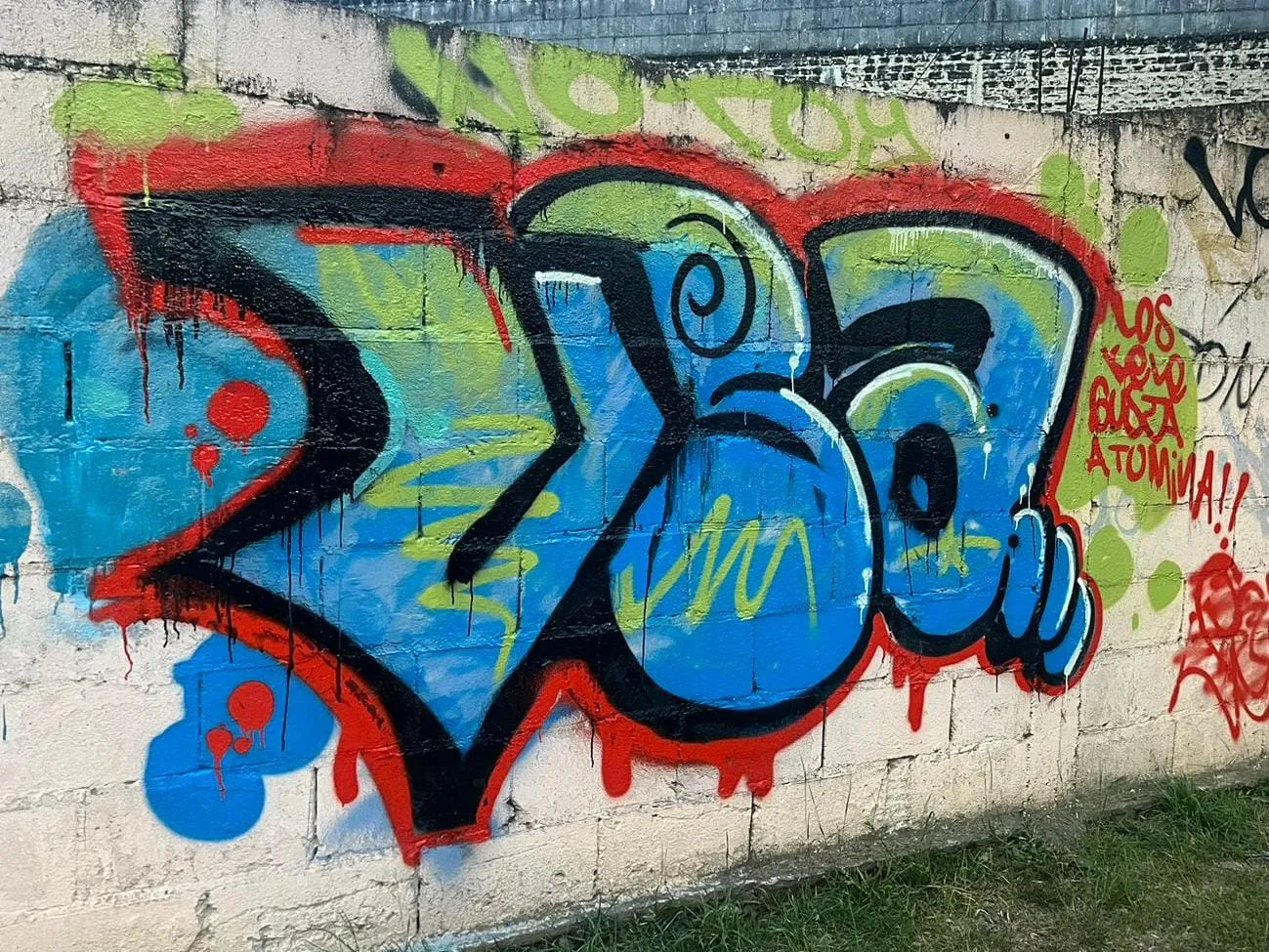 WhatsApp Image 2024-10-08 at 11.56.06