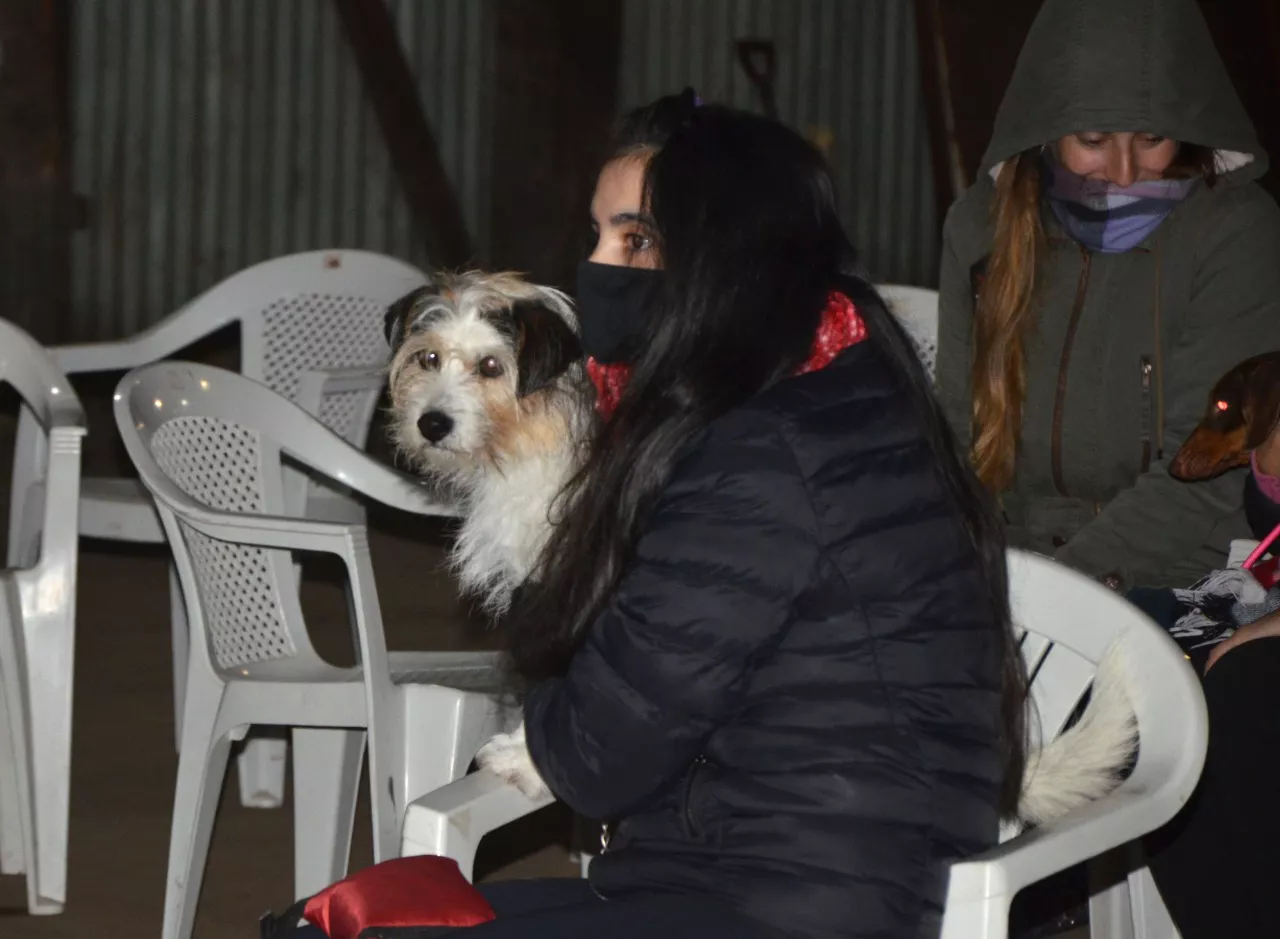 WhatsApp Image 2022-06-13 at 2.23.11 PM