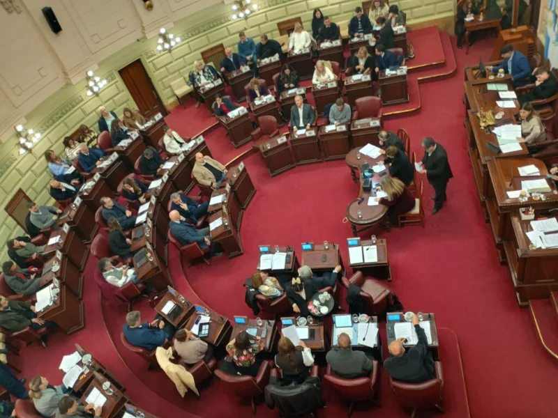 Diputados-Emergencia-1024x768