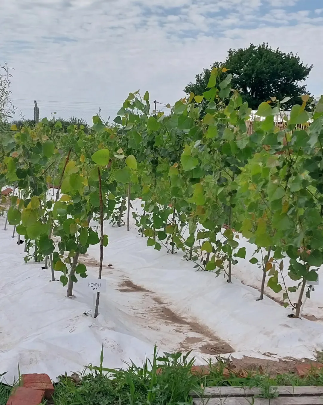 399478512_653688830281719_684270949105382676_n