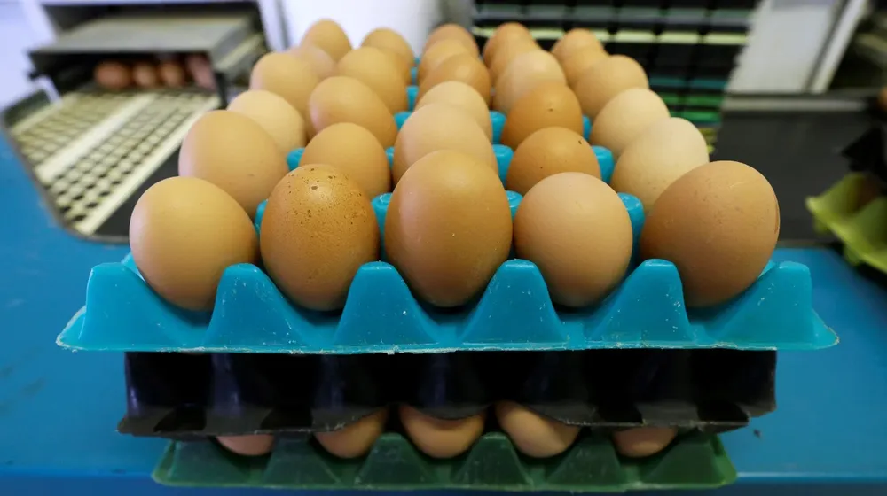 Impulsan una rebaja del IVA para huevos y derivados industriales