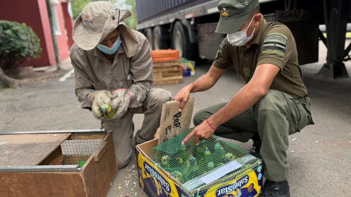 2026-02-17NID_285209O_1