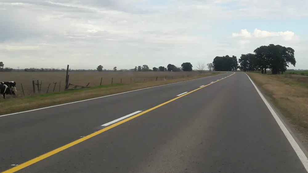 RUTA