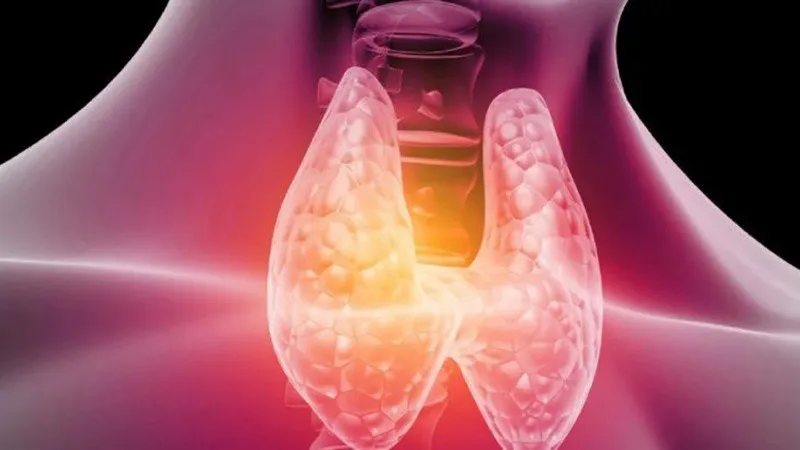 cuidateplus_marca_com_aa_1.jpg_1756841869