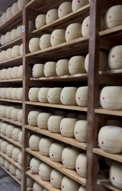 WhatsApp Image 2026-02-26 at 8.39.39 PM