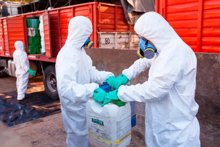 WhatsApp-Image-2024-02-02-at-09.46.35-768x513