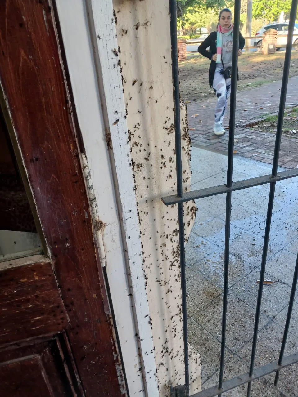 multimedia.normal.b3b05ad978117384.V2hhdHNBcHAgSW1hZ2UgMjAyNC0xMC0xNSBhdCA5LjFfbm9ybWFsLndlYnA=