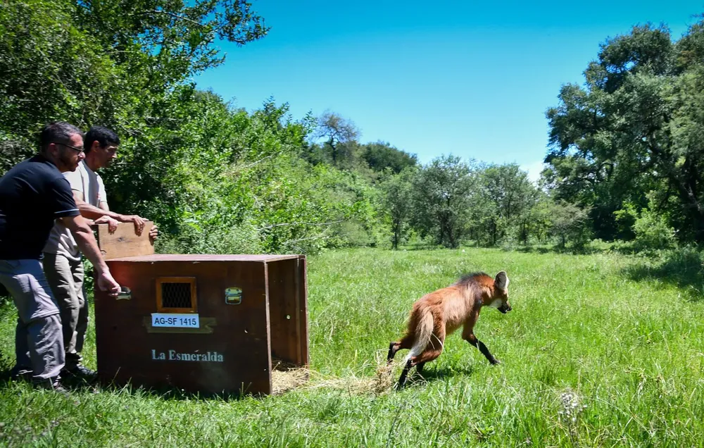 b4f5f14b-d4dd-4e9d-bd1e-589b914ad22a