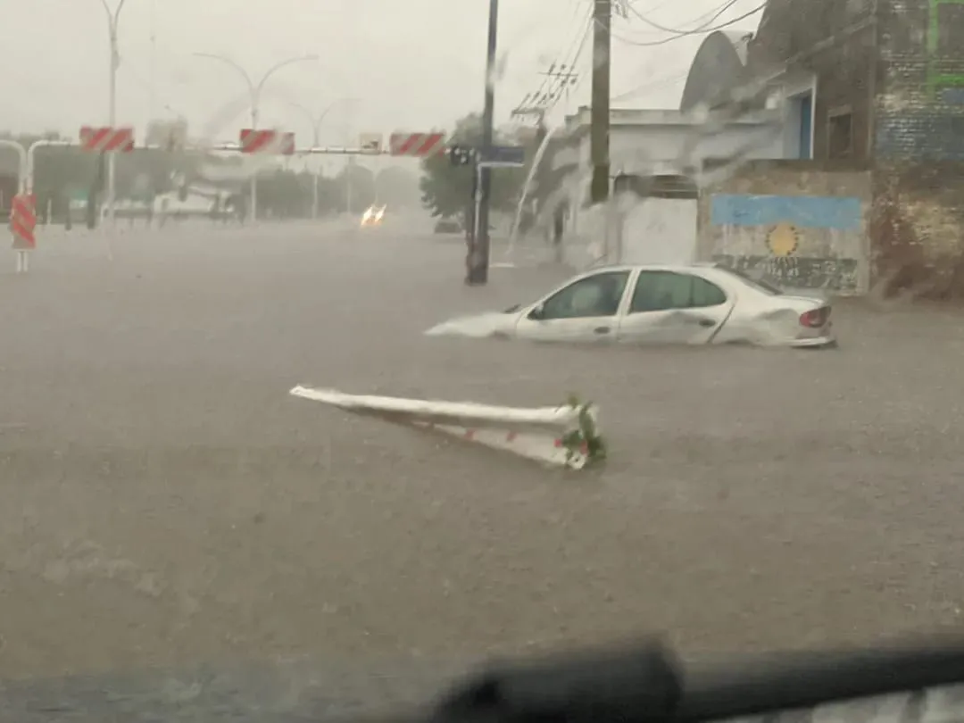 432321269_869545408525529_671923062063574812_n