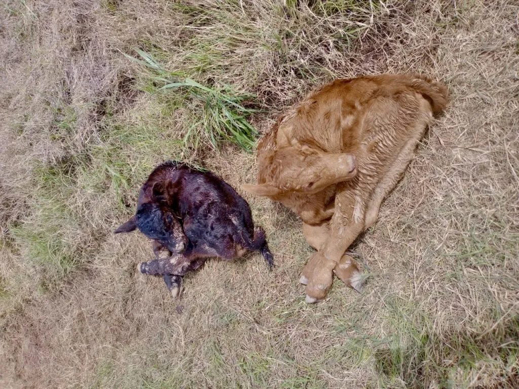 c8322186-6ca4-4e7b-aef5-34d885244afd-2-1024x768