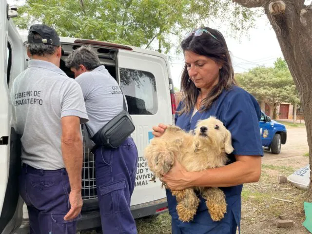 WhatsApp-Image-2024-02-29-at-18.19.28-640x480