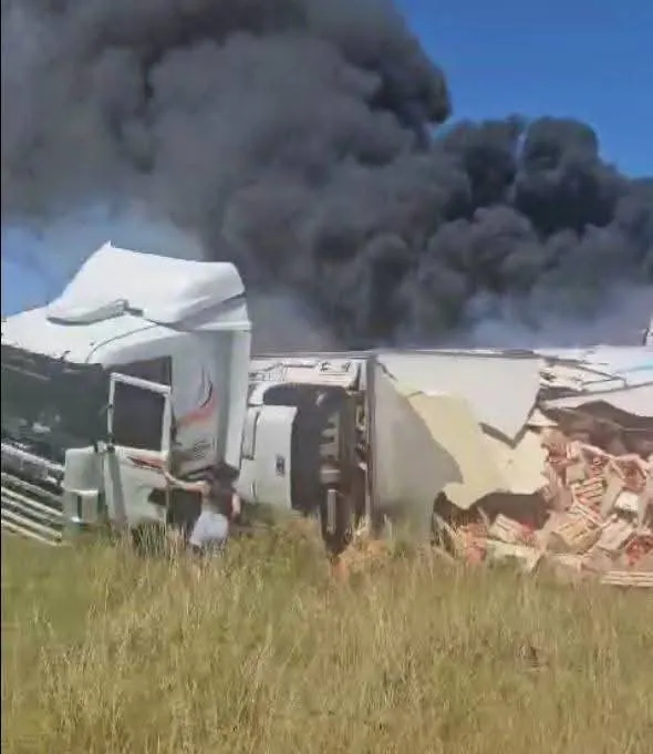 WhatsApp Image 2025-01-14 at 1.28.33 PM