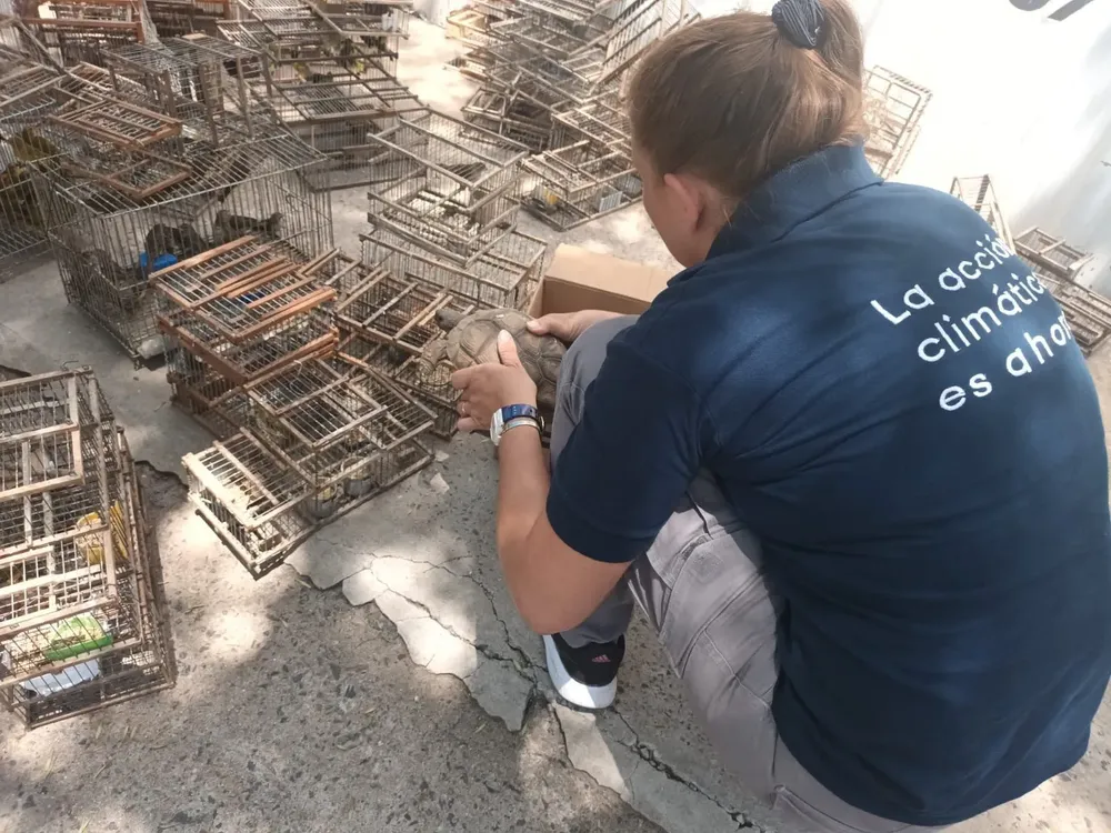 de5029c1-5747-410f-ba48-f1a36fe8934d