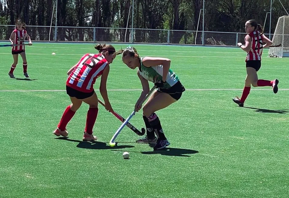 WhatsApp Image 2025-02-13 at 7.28.46 AM