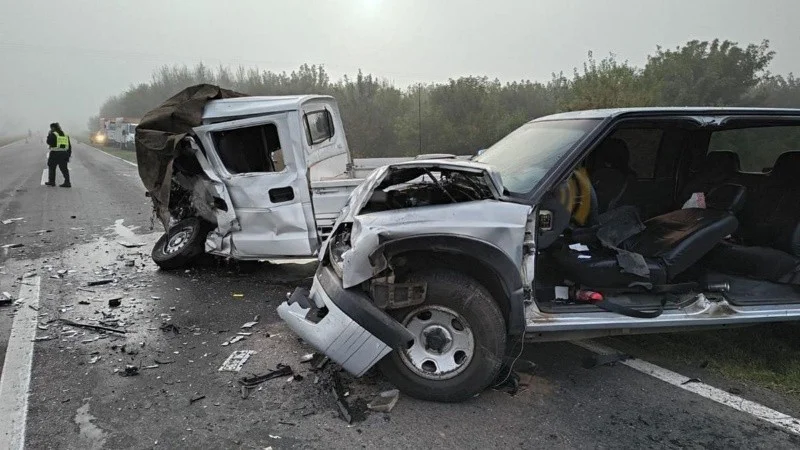 wmremove-transformed-7.jpeg_25343505