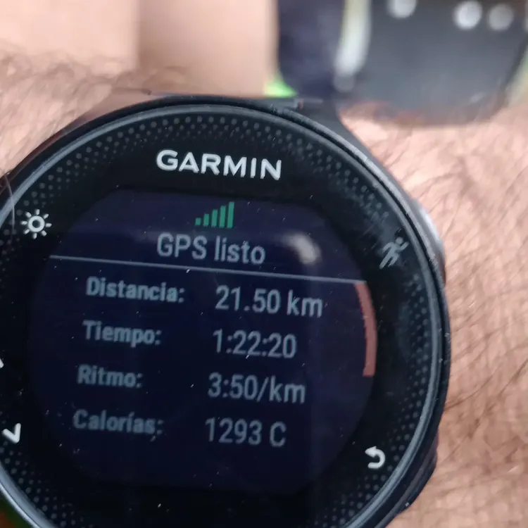 d317884e-4244-413f-9797-907928c79e0c