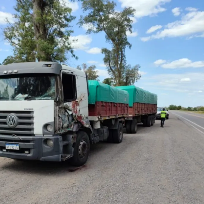 Screenshot_20241211-182213-696x696