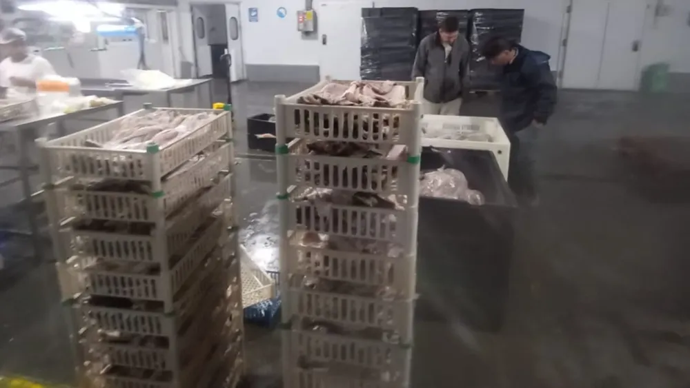 2026-04-01NID_285602O_1