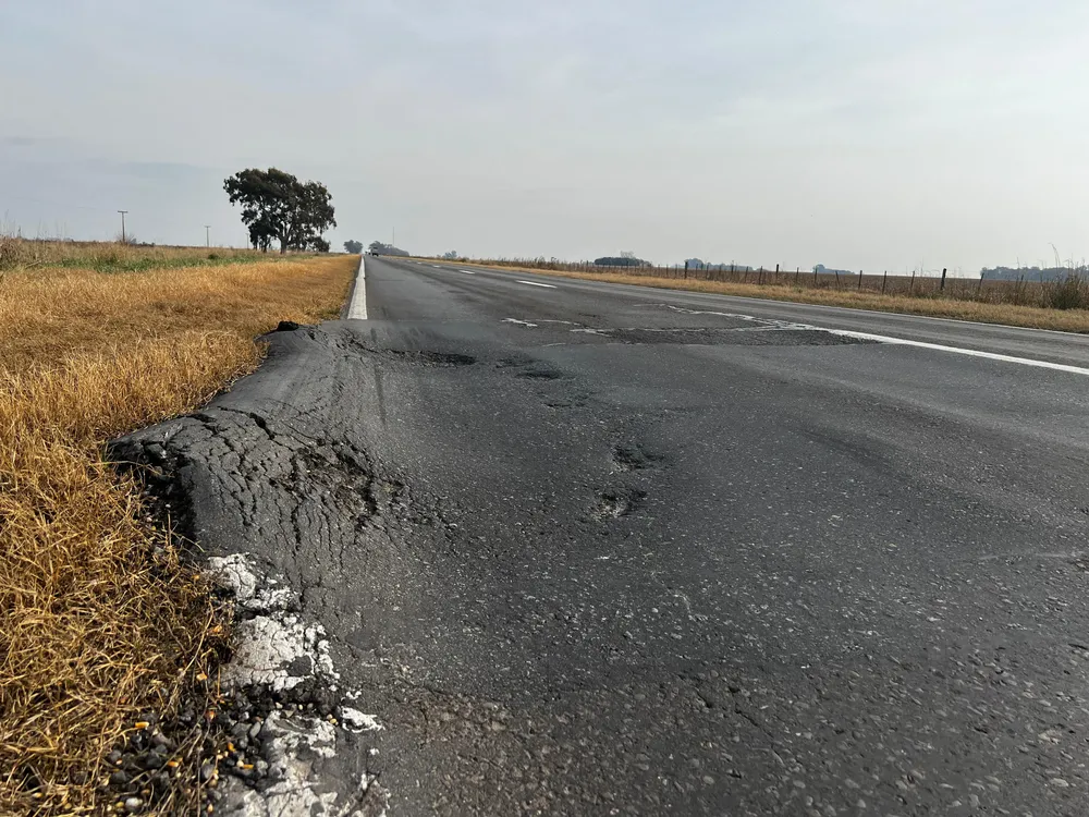 WhatsApp Image 2024-08-23 at 08.46.11 (2)