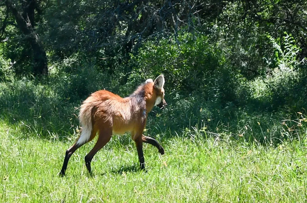 22ae95fd-4eb6-4b87-a194-8dbe0f823530