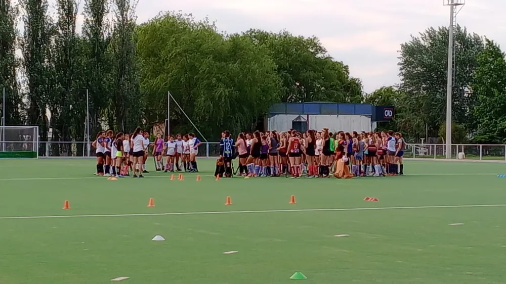 WhatsApp Image 2024-11-07 at 18.53.26